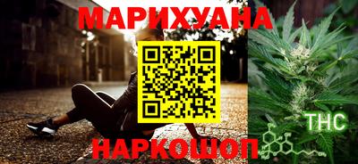 индика Сосновоборск
