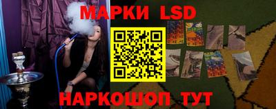 индика Сосновоборск