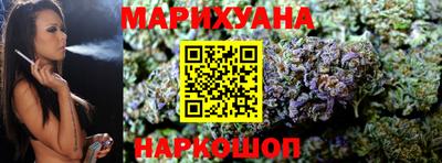 индика Сосновоборск