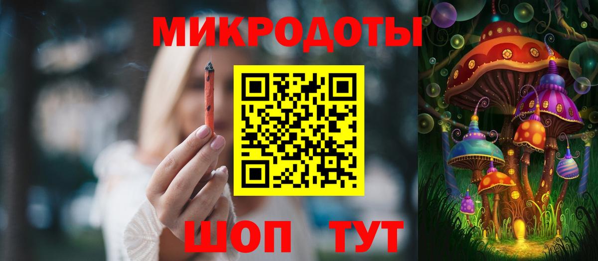 Псилоцибиновые грибы Psilocybe Архангельск