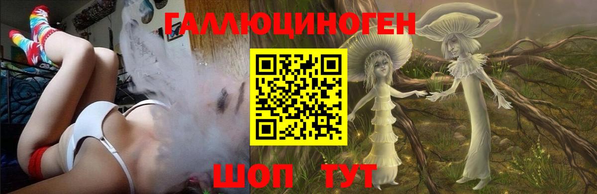 Архангельск  Псилоцибиновые грибы мицелий  Псилоцибиновые грибы Psilocybe  Вход с VPN 